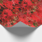 カエデ日本のの「血の良い」/赤秋の葉/ ラッピングペーパー (角)