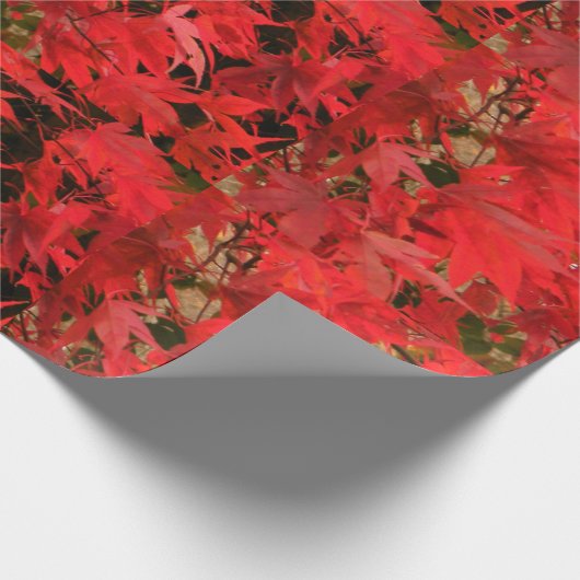 カエデ日本のの「血の良い」/赤秋の葉/ ラッピングペーパー (角)