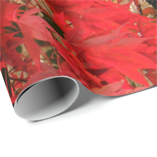 カエデ日本のの「血の良い」/赤秋の葉/ ラッピングペーパー (ロールコーナー)