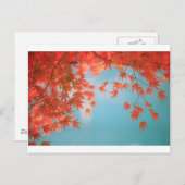 カエデ日本の ポストカード (正面/裏面)