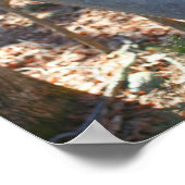 カエデ砂糖樹液バケツオンツリー自然 ポスター (角)