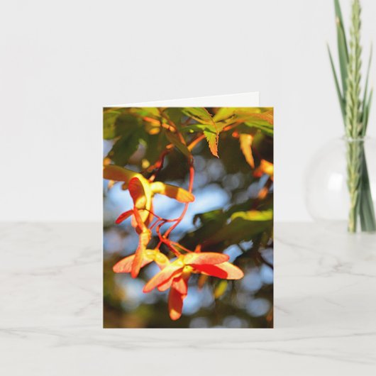 カエデ種子ポッド空白のノテカード カード (正面)