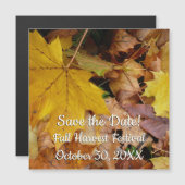 カエデ落ちたル葉イーロー秋自然 (正面/裏面)