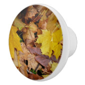 カエデ落ちたル葉イーロー秋自然 セラミックノブ (右)