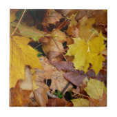 カエデ落ちたル葉イーロー秋自然 タイル (正面)