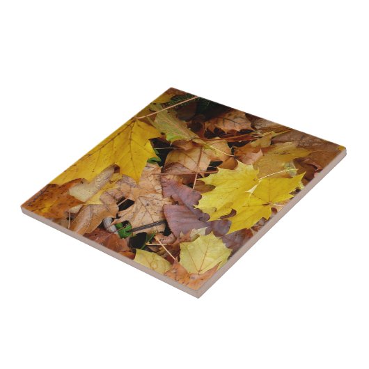 カエデ落ちたル葉イーロー秋自然 タイル (側面)