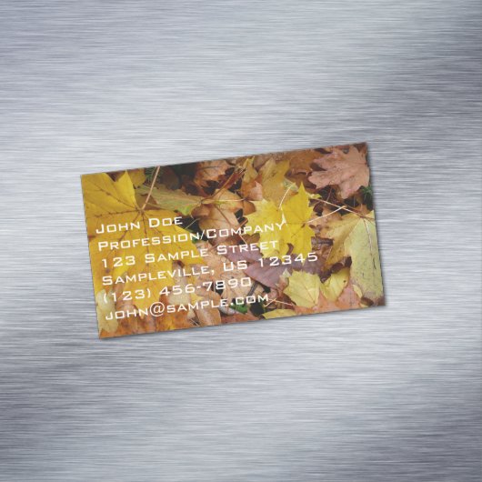 カエデ落ちたル葉イーロー秋自然 マグネット名刺 (インサイチュ)