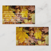 カエデ落ちたル葉イーロー秋自然 名刺 (正面/裏面)