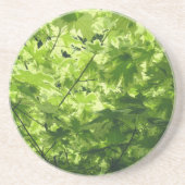 カエデ葉メ コースター (正面)