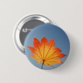 カエデ 缶バッジ (正面&裏面)