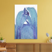 カエデ(Acer)ステムの縦断面がヒントになる キャンバスプリント (インサイチュ (リビング))