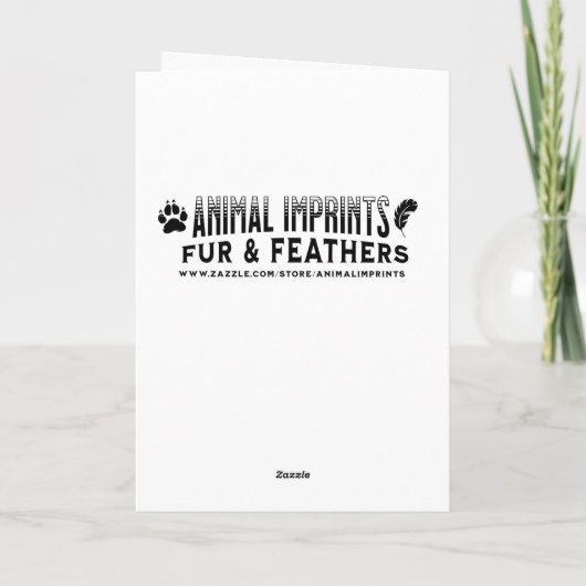 カエルおもしろいとキノコ誕生日 カード (裏面)