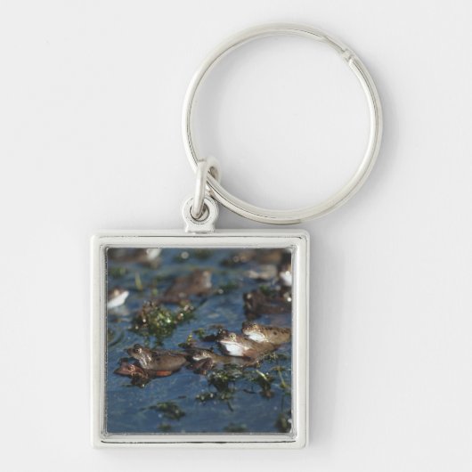 カエルおもしろい キーホルダー (正面)