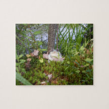 カエルおよび丸太のコンパクトのパズル