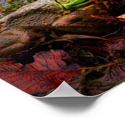 カエルとカラー ポスター (角)