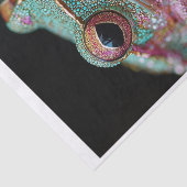 カエルとダイヤモンド10 薄葉紙 (詳細)