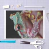 カエルとダイヤモンド10 薄葉紙 (クラフト)