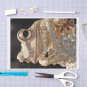 カエルとダイヤモンド11 薄葉紙 (クラフト)