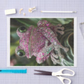 カエルとダイヤモンド1 薄葉紙 (クラフト)