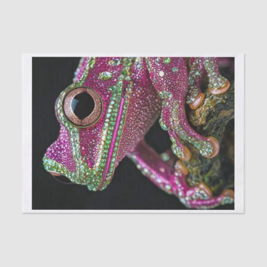 カエルとダイヤモンド2 薄葉紙 (正面)