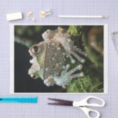 カエルとダイヤモンド9 薄葉紙 (クラフト)