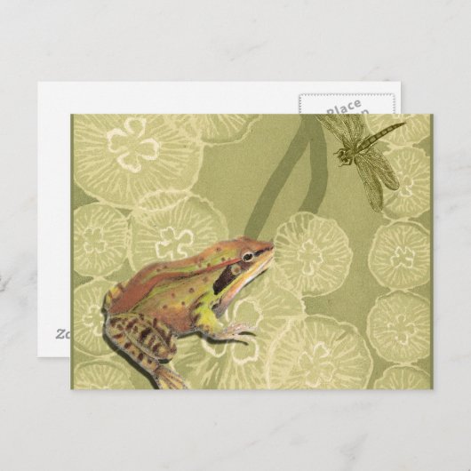 カエルとトンボの水生植物 ポストカード (正面/裏面)