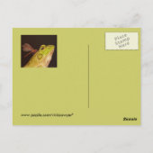 カエルとトンボはがき ポストカード (裏面)