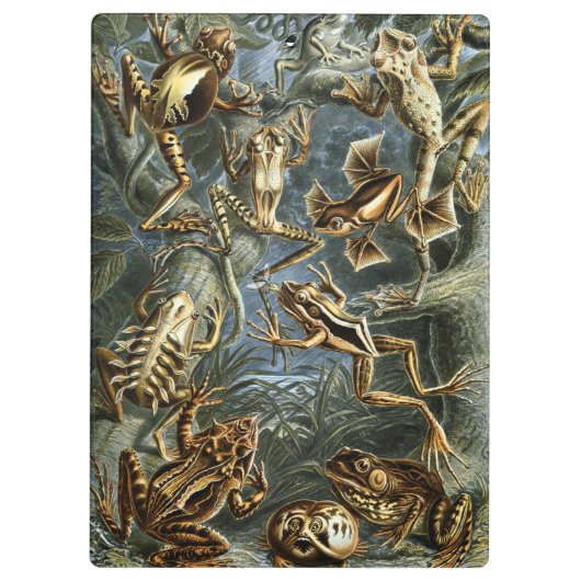 カエルとトートエルンストヘッケルヴィンテージ クリップボード (裏面)