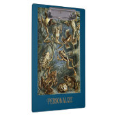 カエルとトートエルンストヘッケルヴィンテージ クリップボード (右)