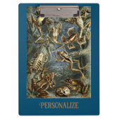 カエルとトートエルンストヘッケルヴィンテージ クリップボード (正面)