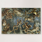 カエルとトートエルンストヘッケルヴィンテージ ジグソーパズル (横)