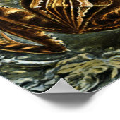 カエルとトートエルンストヘッケルヴィンテージ ポスター (角)