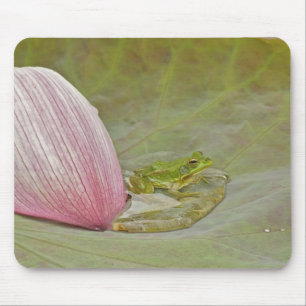 カエルとハスの花びら、中国 マウスパッド