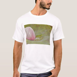 カエルとハスの花びら、中国、 Tシャツ