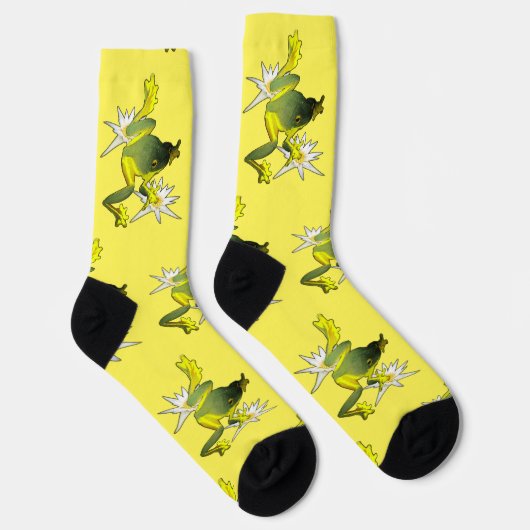 カエルとハスの花、クルーソックス ソックス (右)