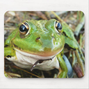 カエルのイメージのマウスパッド マウスパッド