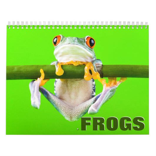カエルのウォールカレンダー カレンダー (カバー)