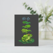 カエルのオタマジャクシ生物変態ライフサイクルアート ポストカード (スタンド正面)