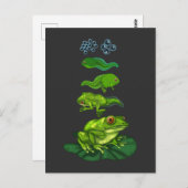 カエルのオタマジャクシ生物変態ライフサイクルアート ポストカード (正面/裏面)