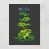 カエルのオタマジャクシ生物変態ライフサイクルアート ポストカード (正面)