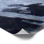 カエルのカエルの動物の写真 ポスター (角)