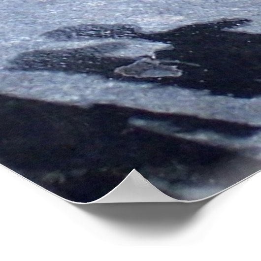 カエルのカエルの動物の写真 ポスター (角)