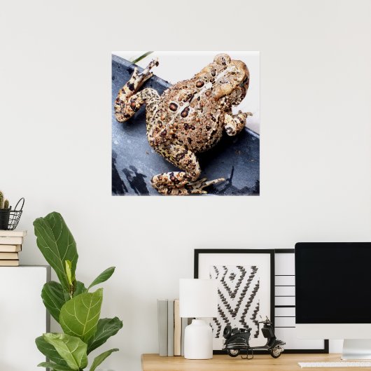 カエルのカエルの動物の写真 ポスター (ホームオフィス)