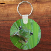 カエルのキーチェーン キーホルダー (正面)