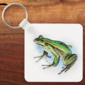 カエルのキーリング キーホルダー (正面)
