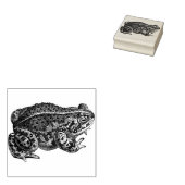 カエルのスタンプ ラバースタンプ (押印)