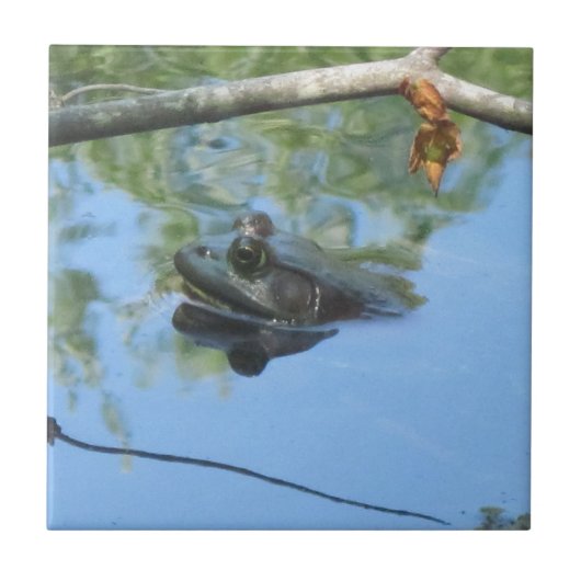 カエルのタイル タイル (正面)