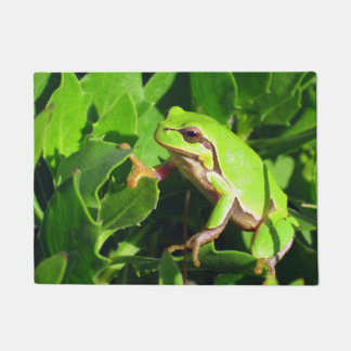 カエルのドア・マット ドアマット