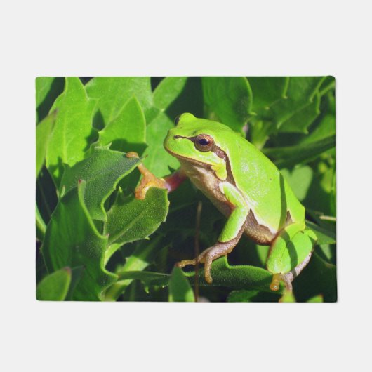 カエルのドア・マット ドアマット (正面)