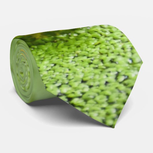 カエルのネクタイ ネクタイ (ロール)